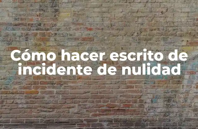 Cómo Hacer Escrito de Incidente de Nulidad