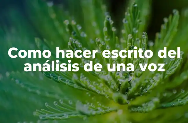 Como Hacer Escrito Del Análisis de una Voz 2 Análisis de una voz