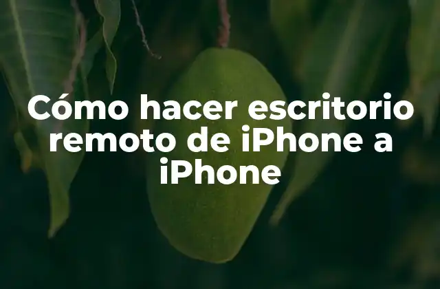 Cómo Hacer Escritorio Remoto de Iphone a Iphone 2 Qué es el escritorio remoto de iPhone a iPhone y cómo funciona