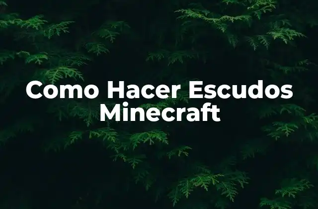 Como Hacer Escudos Minecraft 2 ¿Qué es un Escudo en Minecraft?