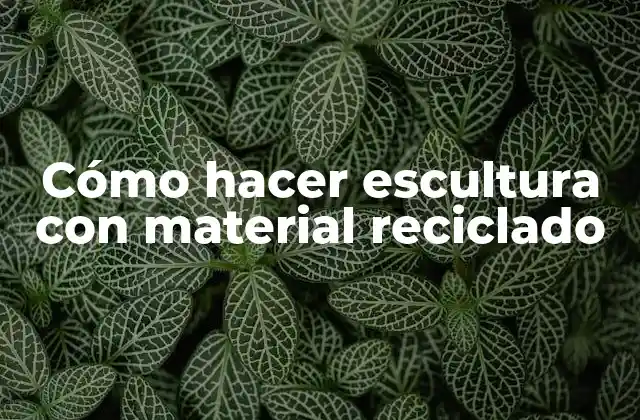 Cómo Hacer Escultura con Material Reciclado