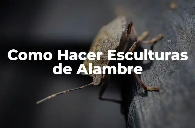 Como Hacer Esculturas de Alambre