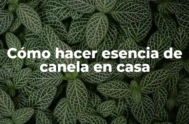 Cómo Hacer Esencia de Canela en Casa