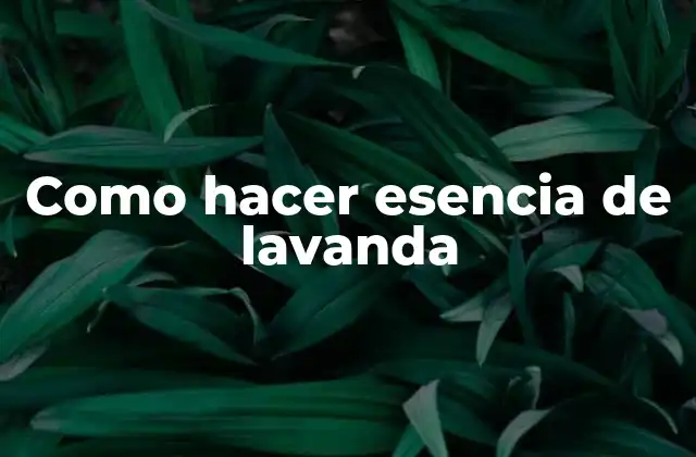 Como Hacer Esencia de Lavanda