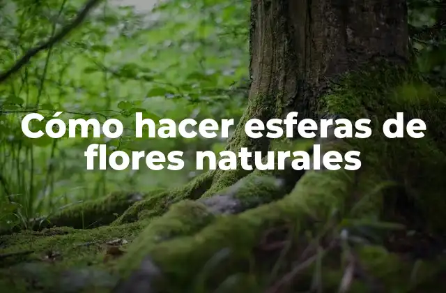 Cómo Hacer Esferas de Flores Naturales