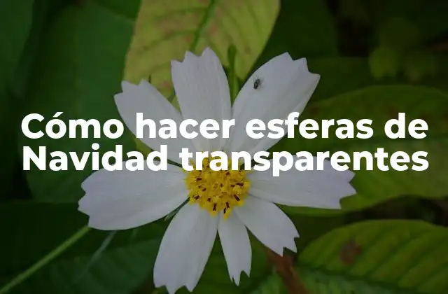Cómo Hacer Esferas de Navidad Transparentes