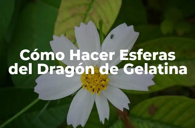 Cómo Hacer Esferas Del Dragón de Gelatina