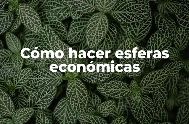 Cómo Hacer Esferas Económicas