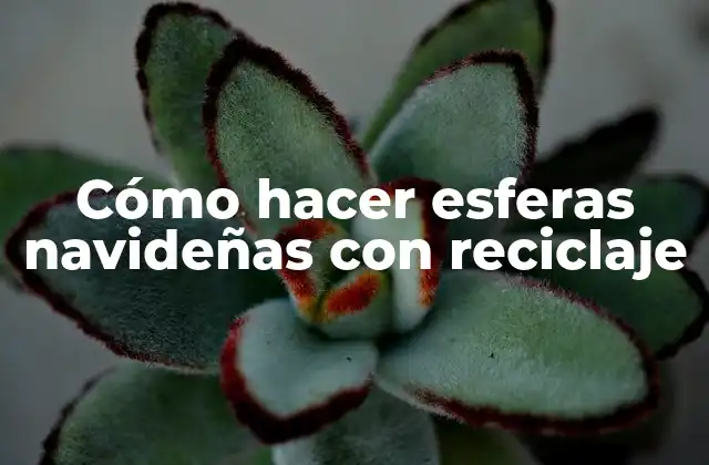 Cómo Hacer Esferas Navideñas con Reciclaje