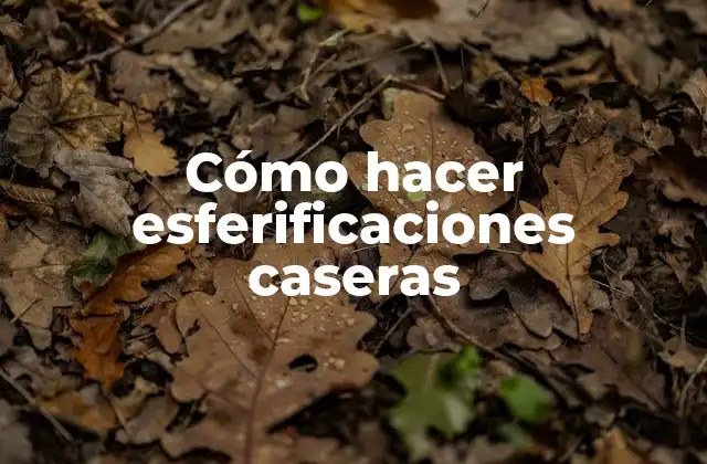 Cómo Hacer Esferificaciones Caseras 2 Cómo hacer esferificaciones caseras
