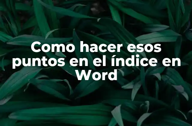 Como Hacer Esos Puntos en el Índice en Word