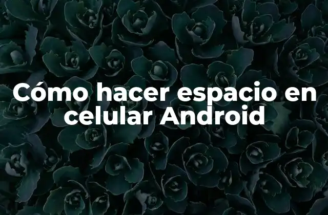 Cómo Hacer Espacio en Celular Android