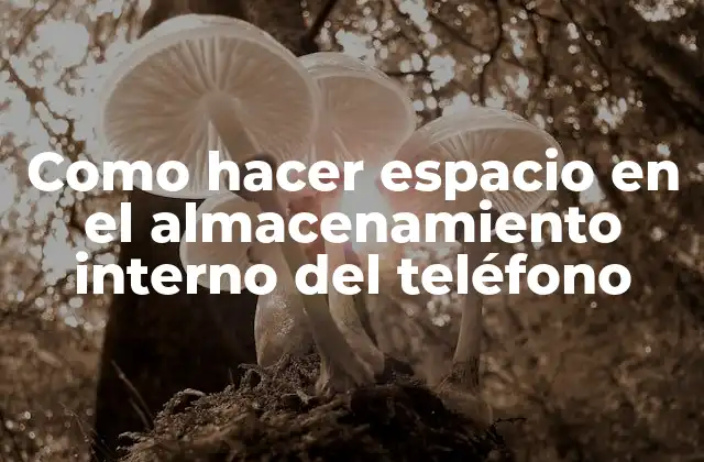¿Qué es el almacenamiento interno del teléfono?