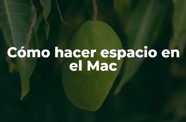 Cómo Hacer Espacio en el Mac