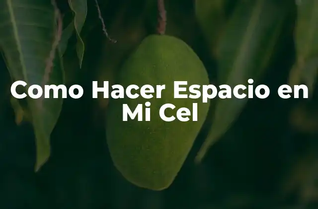 Como Hacer Espacio en Mi Cel