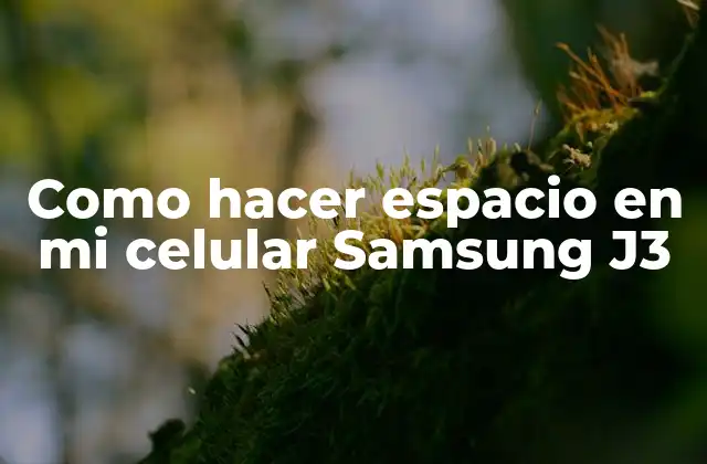 Como Hacer Espacio en Mi Celular Samsung J3