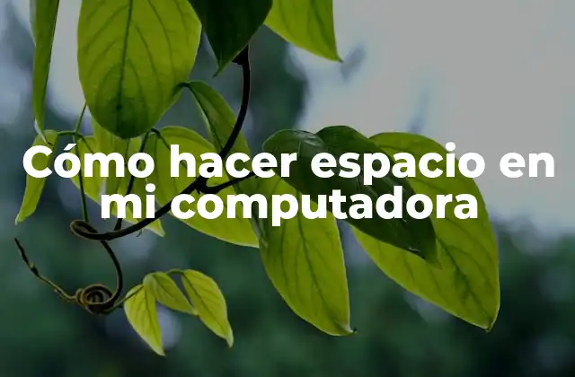 Cómo Hacer Espacio en Mi Computadora