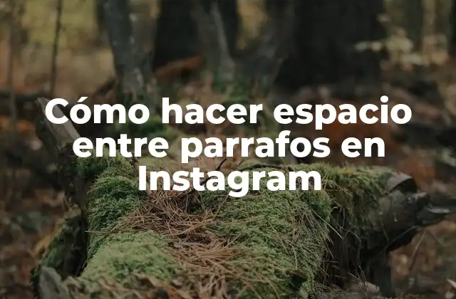 ¿Qué es el formato de texto en Instagram?