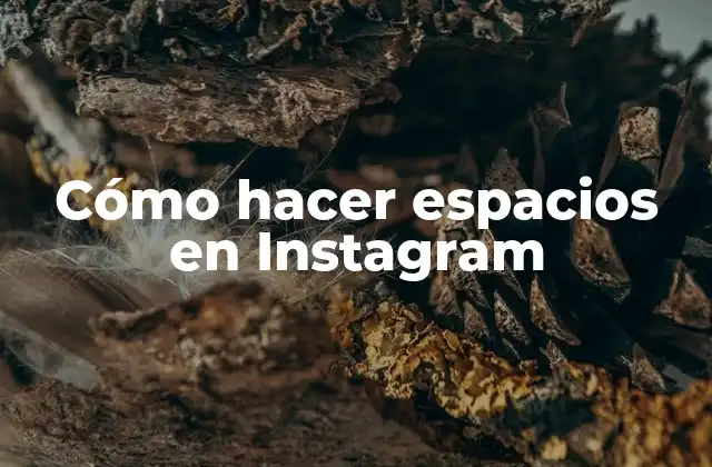 Cómo Hacer Espacios en Instagram