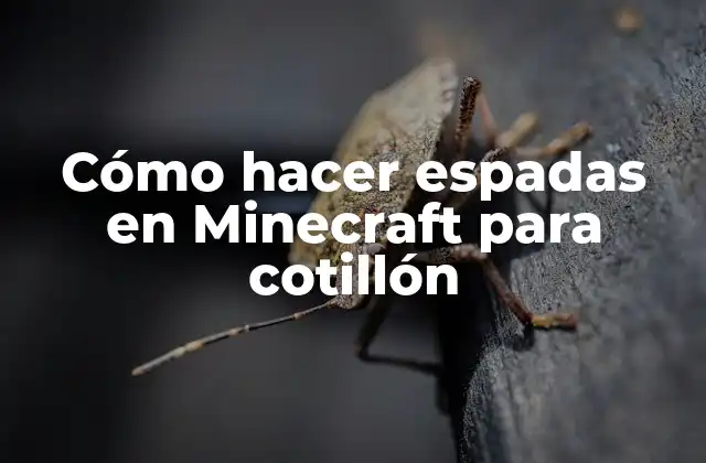 Cómo Hacer Espadas en Minecraft para Cotillón 2 Qué es una espada en Minecraft y para qué sirve