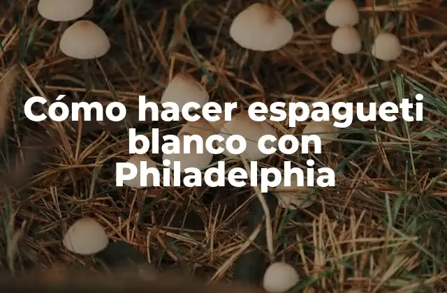 Cómo Hacer Espagueti Blanco con Philadelphia 2 ¿Qué es espagueti blanco con Philadelphia?