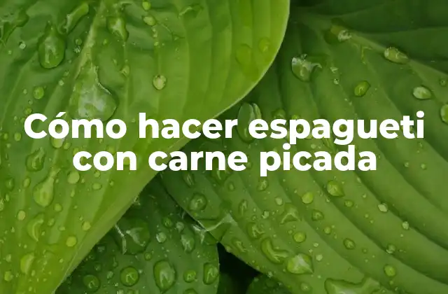 Cómo Hacer Espagueti con Carne Picada