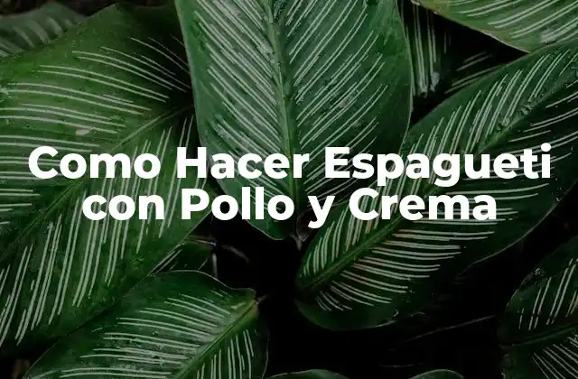 Como Hacer Espagueti con Pollo y Crema