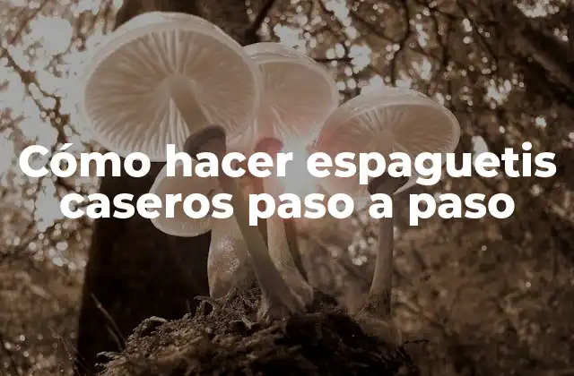 Cómo Hacer Espaguetis Caseros Paso a Paso 2 ¿Qué son los espaguetis caseros y por qué son mejores que los comprados en tienda?