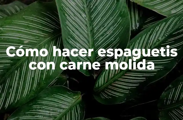 Cómo Hacer Espaguetis con Carne Molida