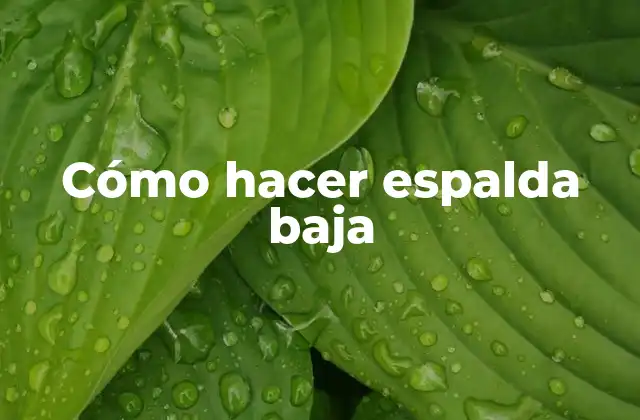 Cómo Hacer Espalda Baja