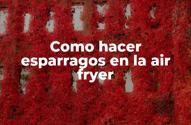 Como Hacer Esparragos en la Air Fryer
