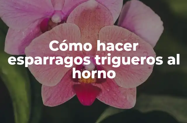 Cómo Hacer Esparragos Trigueros Al Horno