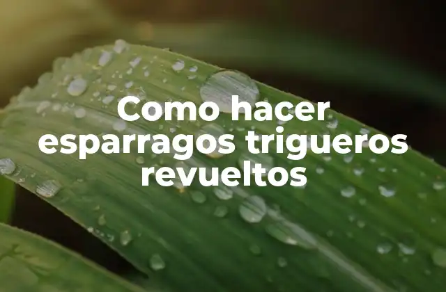 Como Hacer Esparragos Trigueros Revueltos
