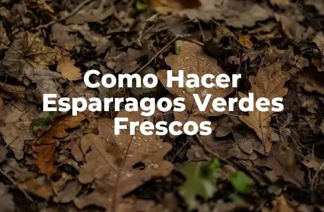 Como Hacer Esparragos Verdes Frescos