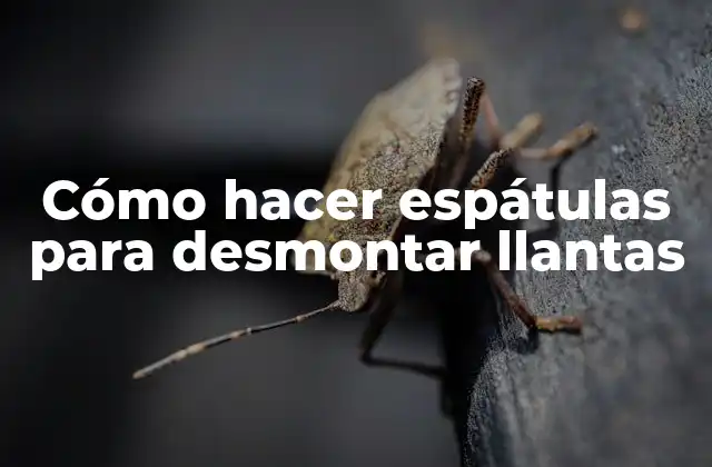 ¿Qué son las espátulas para desmontar llantas y para qué sirven?