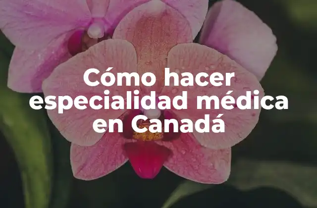 Cómo Hacer Especialidad Médica en Canadá