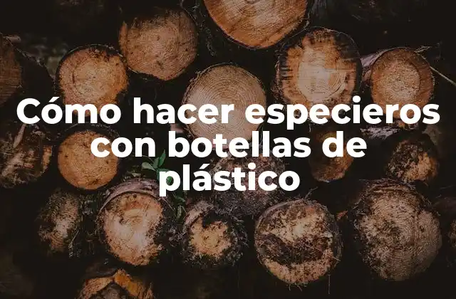 Cómo Hacer Especieros con Botellas de Plástico
