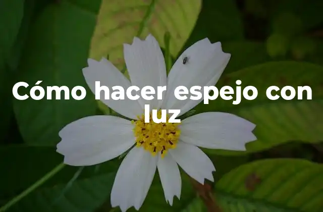 Cómo Hacer Espejo con Luz