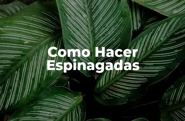Como Hacer Espinagadas