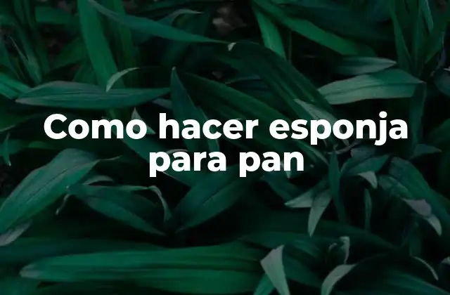 Como Hacer Esponja para Pan