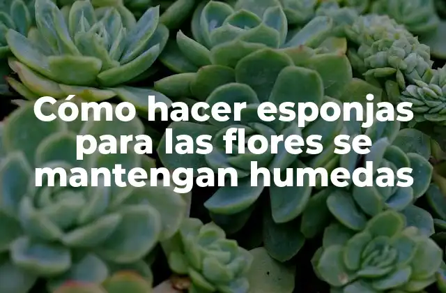 Cómo Hacer Esponjas para las Flores Se Mantengan Humedas