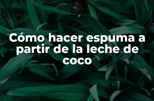 Cómo Hacer Espuma a Partir de la Leche de Coco