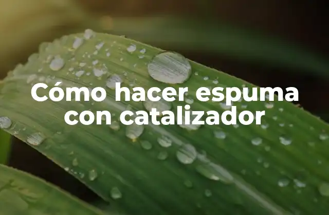 Cómo Hacer Espuma con Catalizador 2 Cómo hacer espuma con catalizador