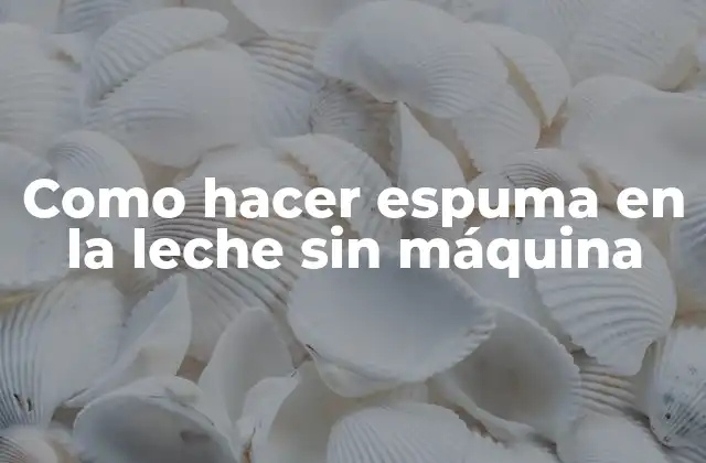 Como Hacer Espuma en la Leche sin Máquina