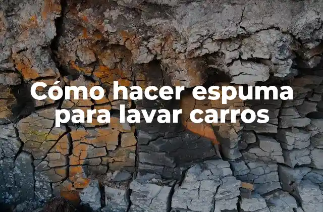 Cómo Hacer Espuma para Lavar Carros