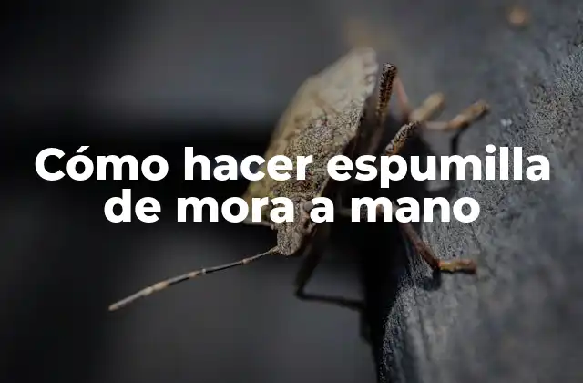 Cómo Hacer Espumilla de Mora a Mano