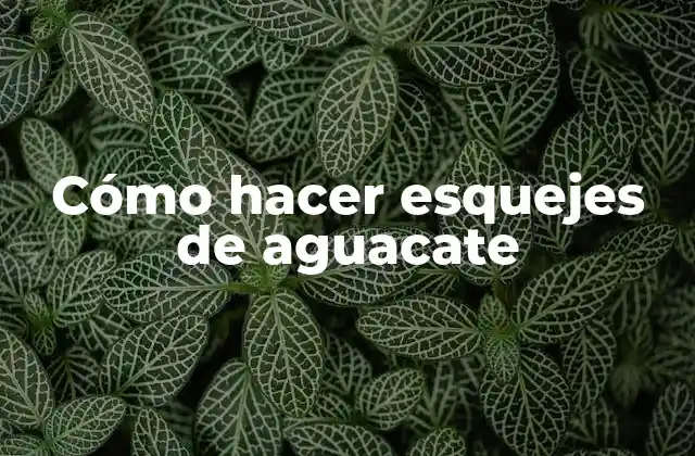 Cómo Hacer Esquejes de Aguacate