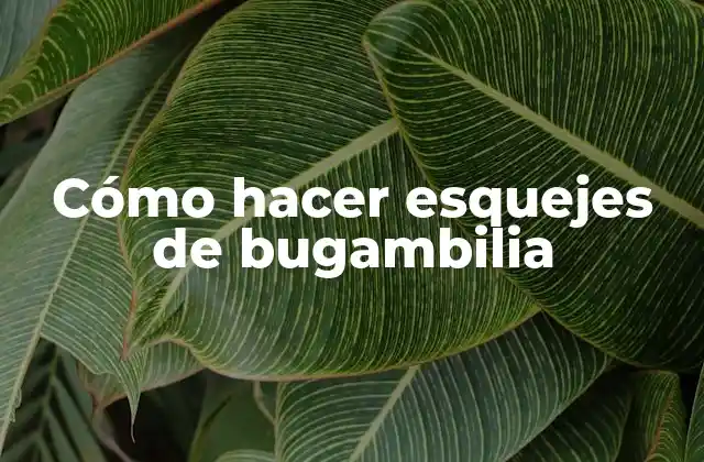 Cómo Hacer Esquejes de Bugambilia