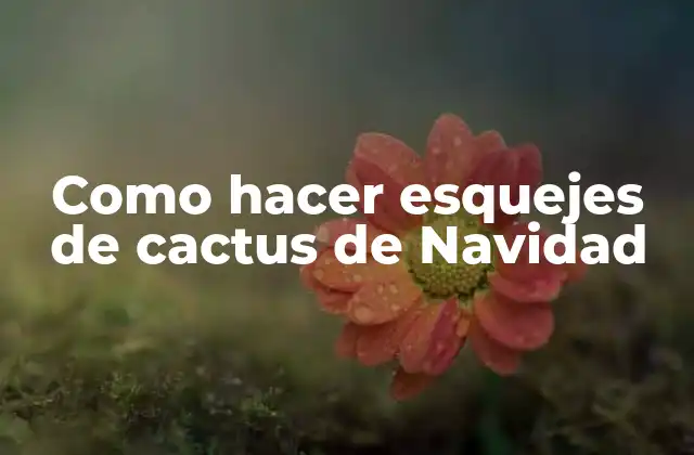 Como Hacer Esquejes de Cactus de Navidad