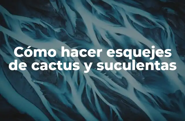 Cómo Hacer Esquejes de Cactus y Suculentas 2 Cómo hacer esquejes de cactus y suculentas
